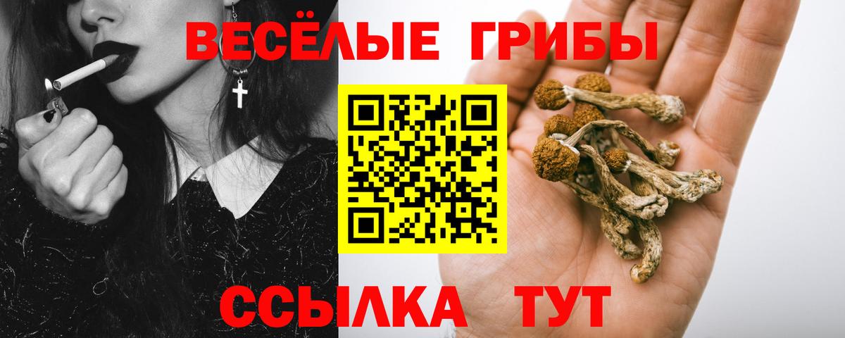 Псилоцибиновые грибы мицелий  Вход с VPN  Иваново 
